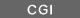 CGI�̃T���v��